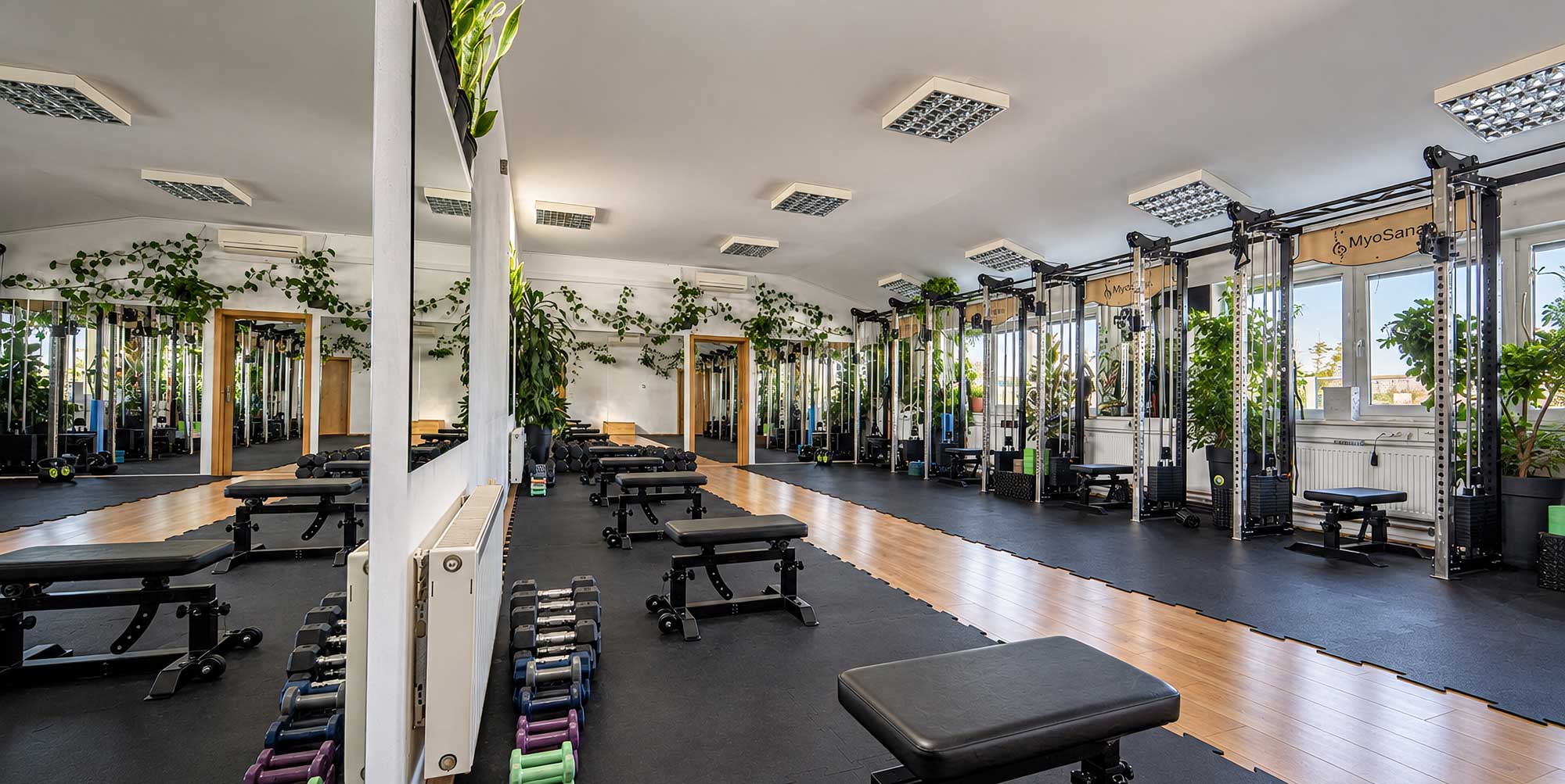 Studio MyoSana
